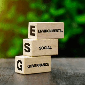 Corso e-learning "ESG: Environmental, Social, Governance" 15h